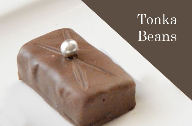 トンカ豆