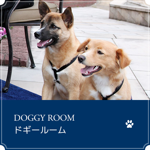 ドギールーム